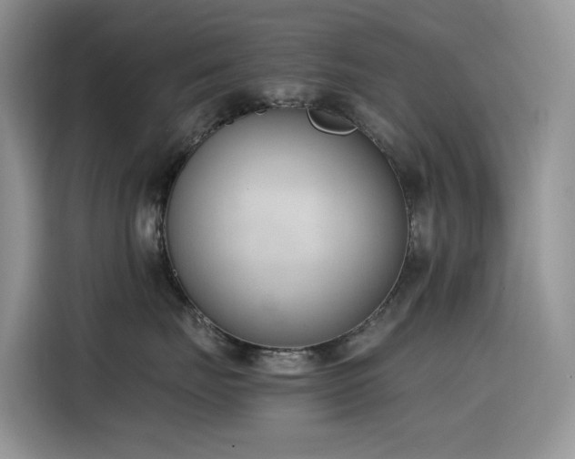 X0000116330671200912011134