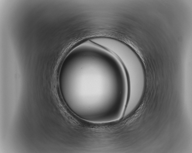 X0000116330673200912011133
