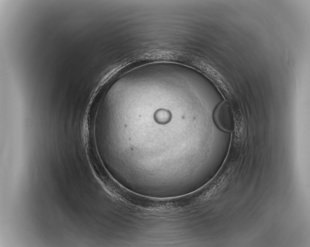 X0000116330674200912011133