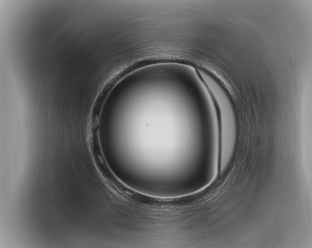 X0000116330677200912011133