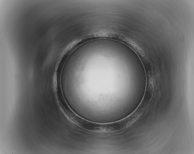 X0000116330678200912011133