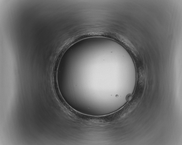 X0000116330681200912011133