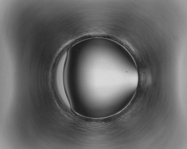 X0000116330684200912011133