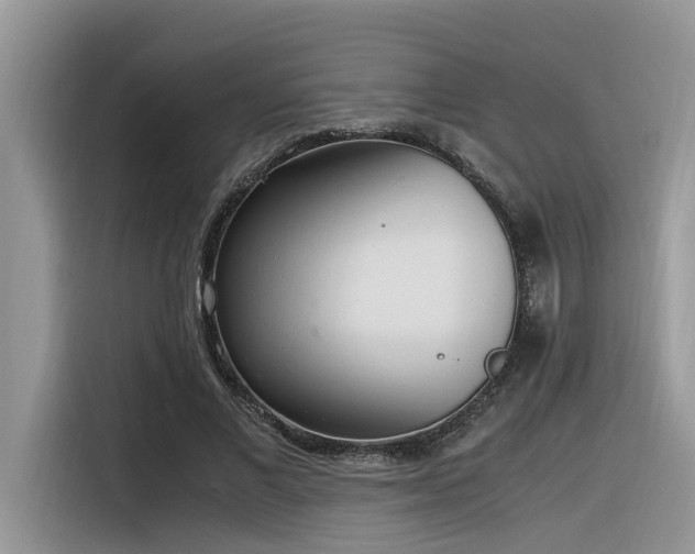 X0000116330685200912011133