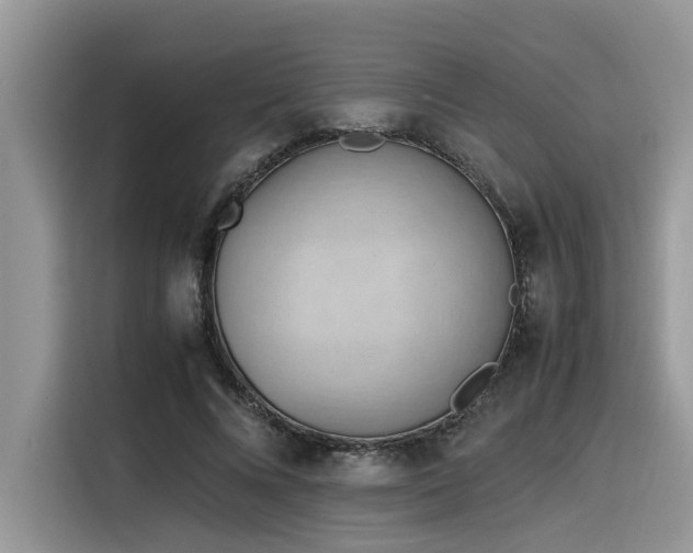 X0000116330688200912011133