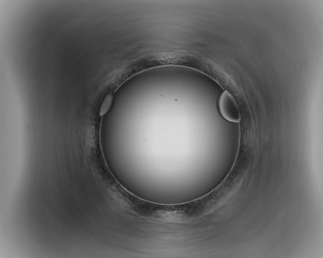X0000116330689200912011133