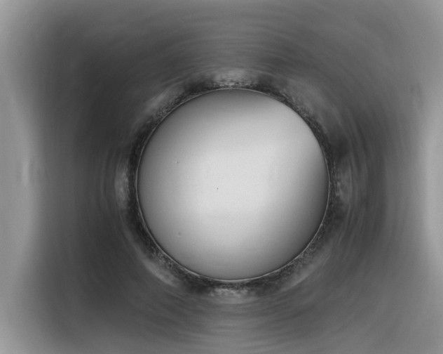 X0000116330690200912011133