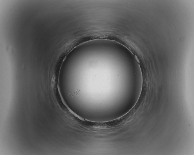X0000116330693200912011133