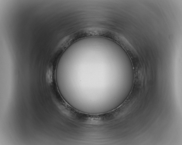 X0000116330694200912011133