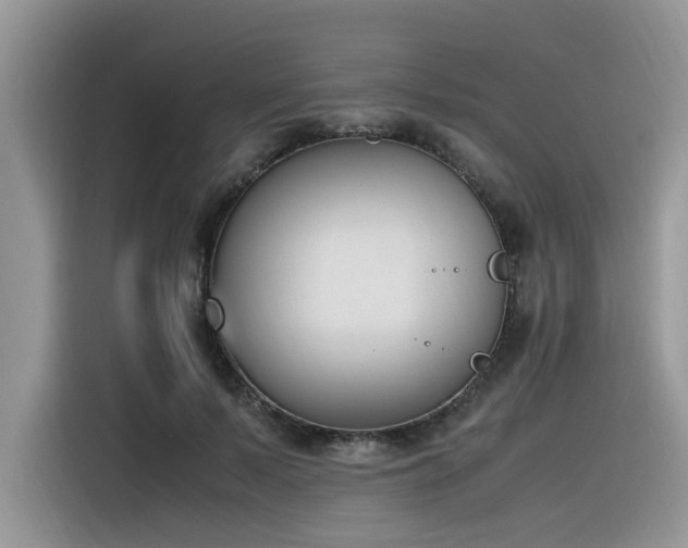 X0000116330695200912011133
