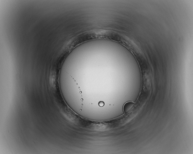 X0000116330698200912011133