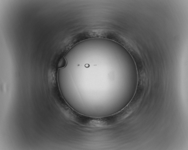 X0000116330699200912011133