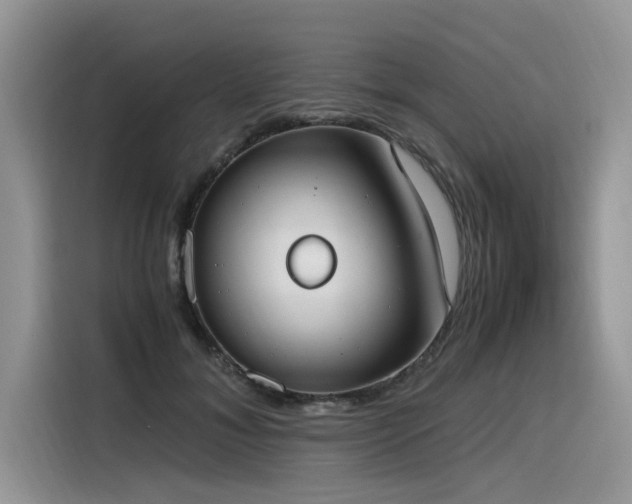 X0000116330700200912011133