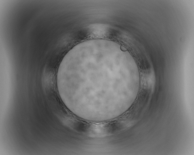X0000116330701200912011133