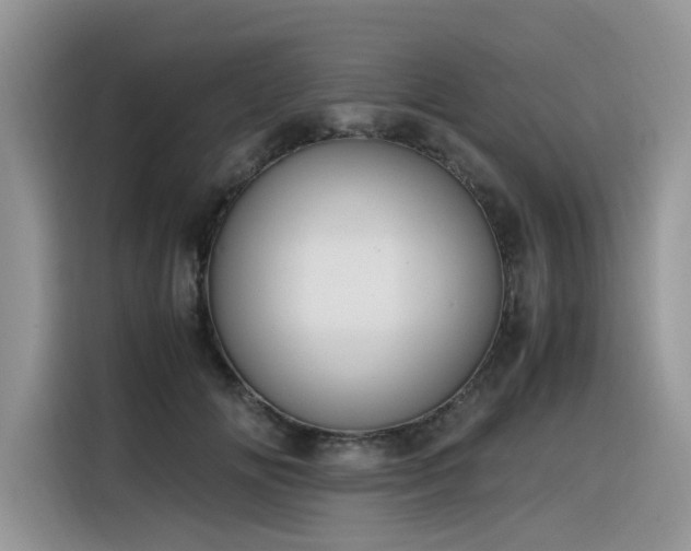 X0000116330702200912011133