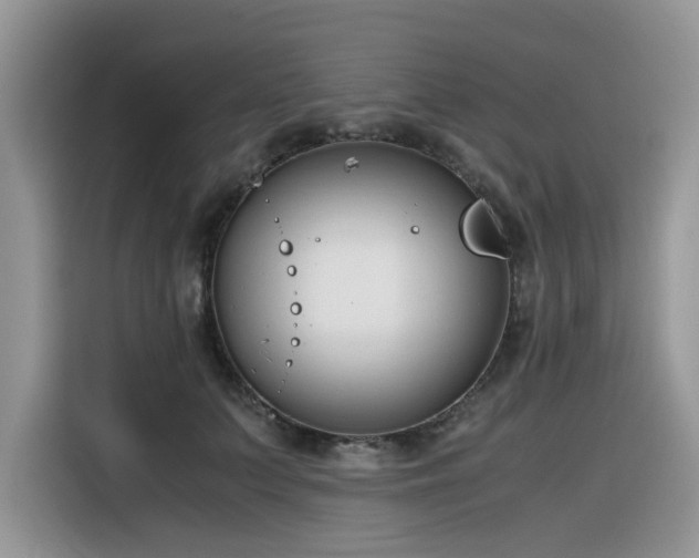 X0000116330703200912011133