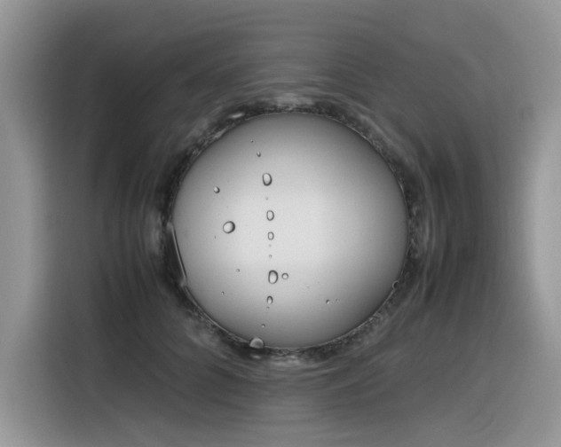 X0000116330704200912011133