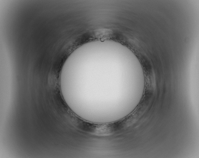 X0000116330705200912011132