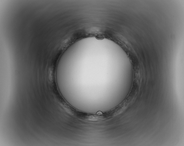 X0000116330708200912011132
