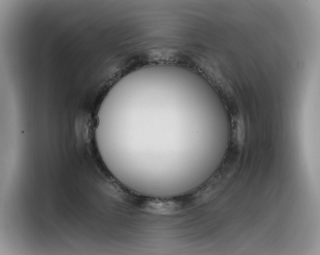 X0000116330712200912011132