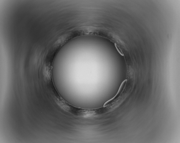 X0000116330719200912011132