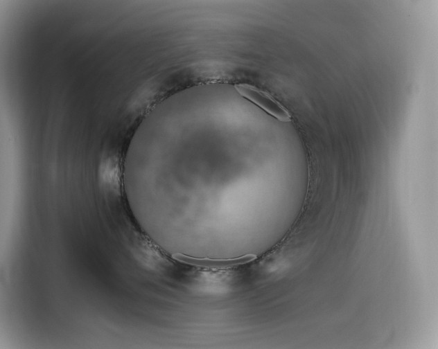 X0000116330720200912011132
