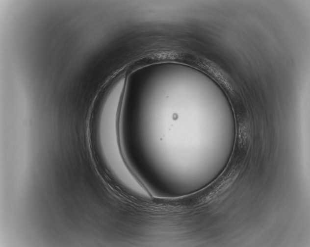 X0000116330722200912011132