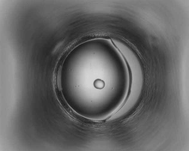 X0000116330725200912011132