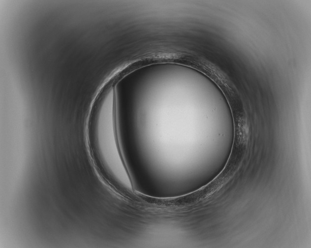 X0000116330726200912011132