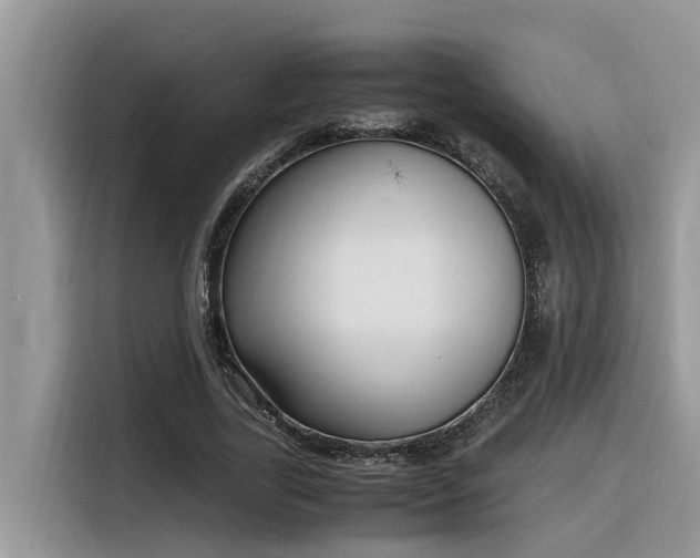X0000116330731200912011132