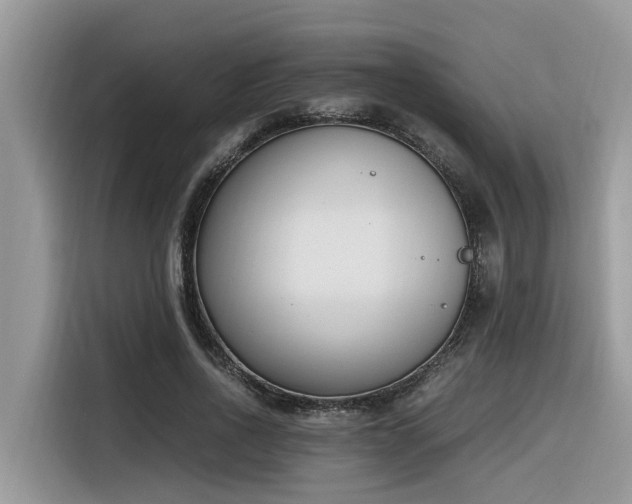 X0000116330734200912011132