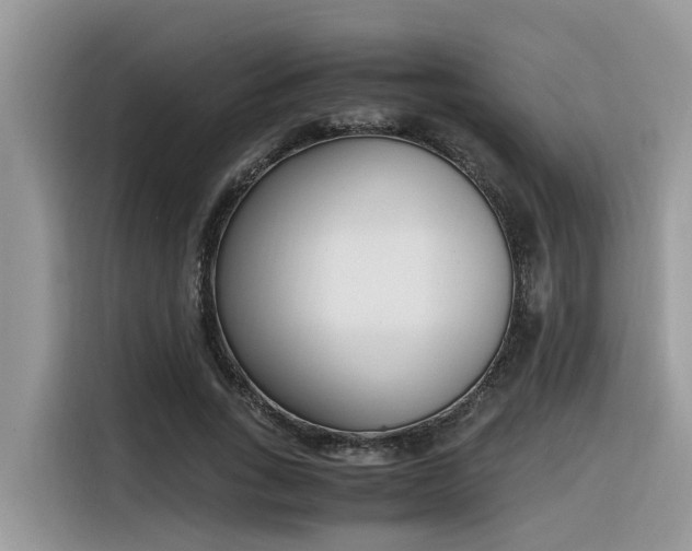 X0000116330735200912011132
