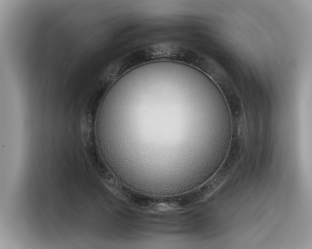 X0000116330737200912011132