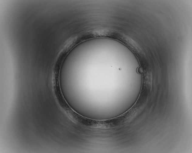 X0000116330738200912011132