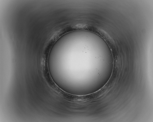 X0000116330739200912011132