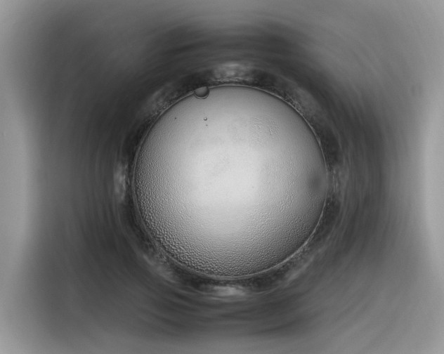 X0000116330741200912011132