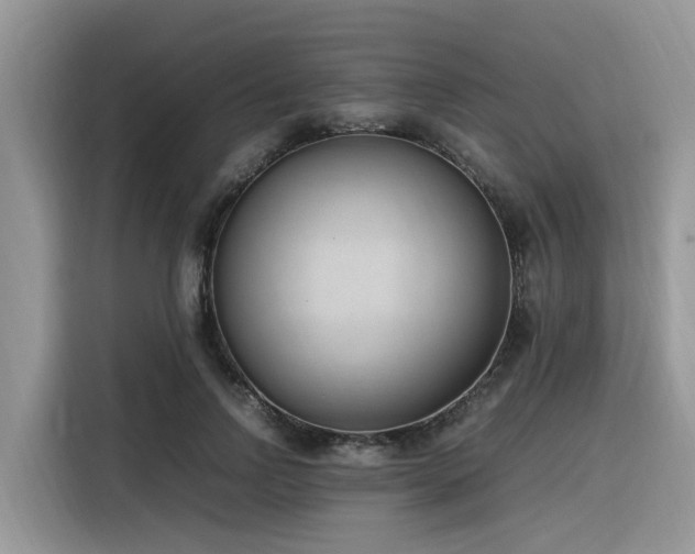 X0000116330742200912011132