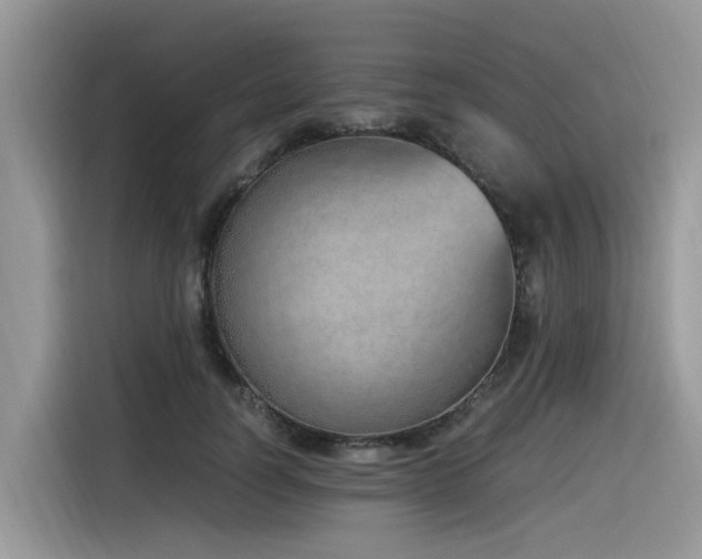 X0000116330746200912011132