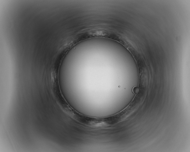 X0000116330747200912011132