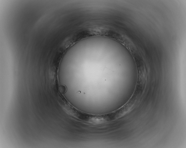 X0000116330749200912011132
