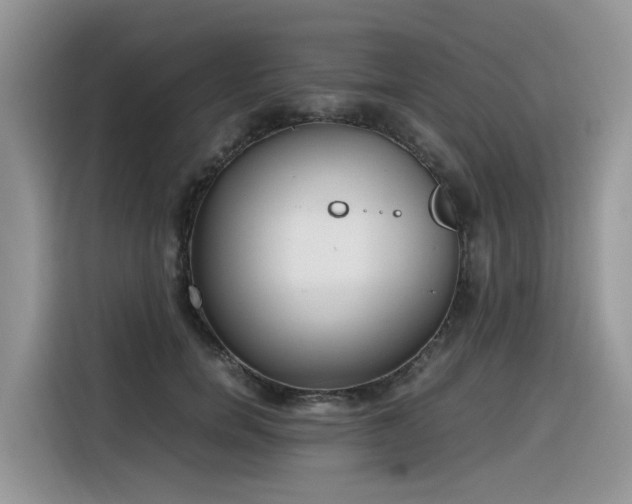 X0000116330750200912011132