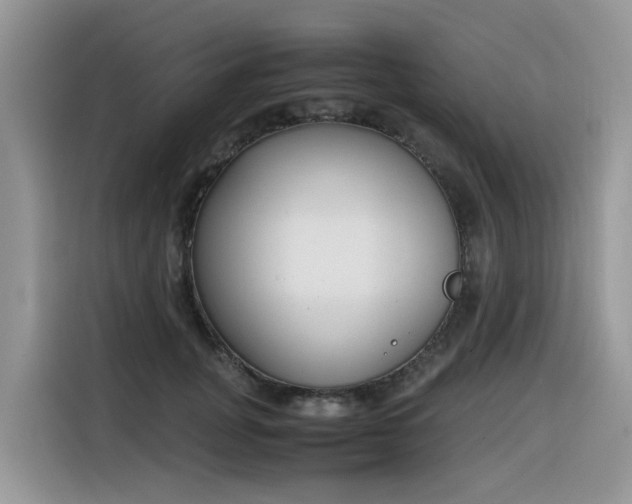 X0000116330751200912011132