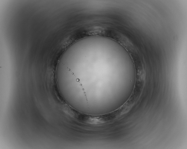 X0000116330753200912011132