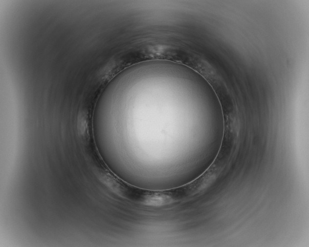 X0000116330754200912011132