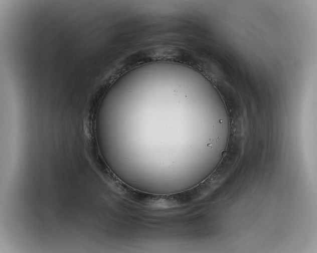 X0000116330755200912011132