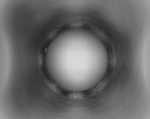 X0000116330758200912011132