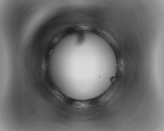 X0000116330763200912011132