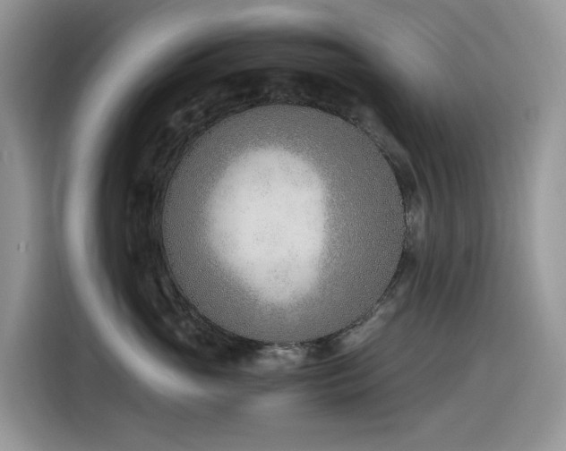 X0000116330765200912011132