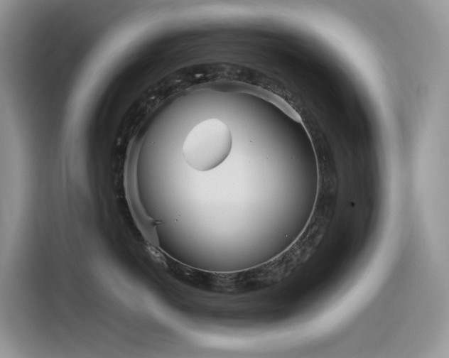 X0000116330766200912011132