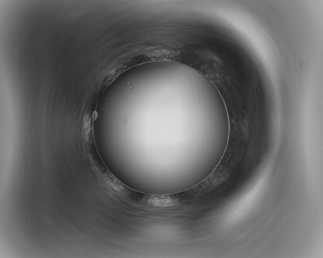 X0000116330767200912011132